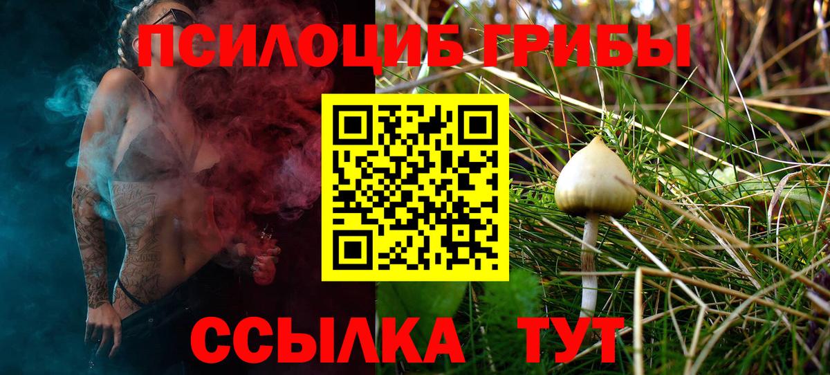 Псилоцибиновые грибы MAGIC MUSHROOMS Коркино