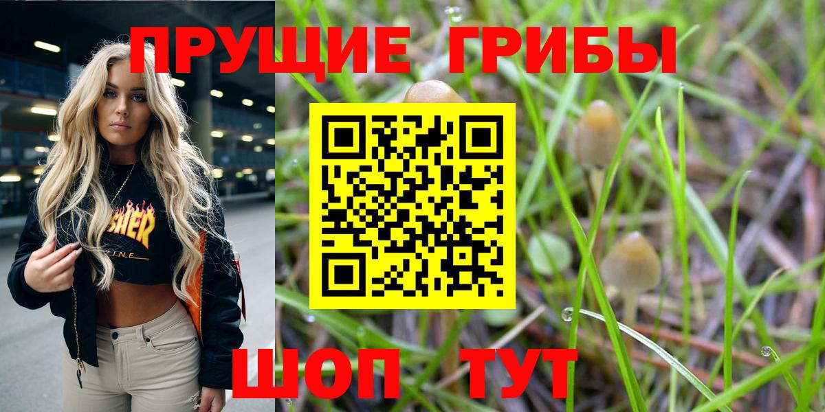 Коркино  Псилоцибиновые грибы мицелий  Вход с VPN 